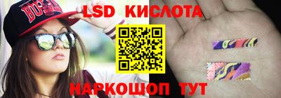 мдпв Камышлов
