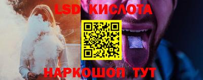 мдпв Камышлов