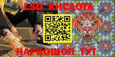 ГАЛЛЮЦИНОГЕННЫЕ ГРИБЫ Кандалакша