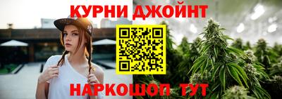 мдпв Камышлов