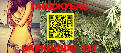 мдпв Камышлов