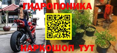 мдпв Камышлов