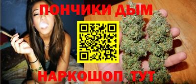 мдпв Камышлов