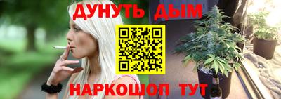мдпв Камышлов