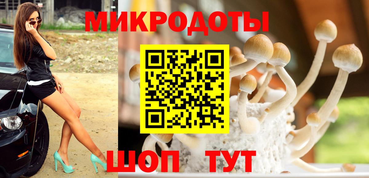 Галлюциногенные грибы ЛСД Черкесск
