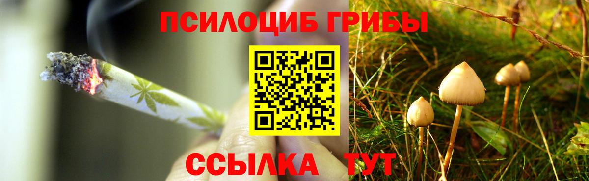 Галлюциногенные грибы Psilocybine cubensis  Вход с VPN  Черкесск 